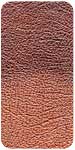 Chestnut leather sample